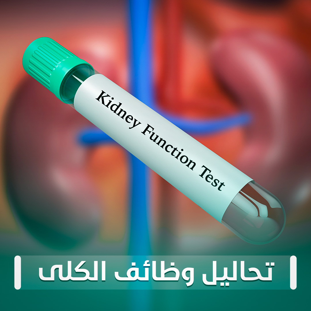 تحاليل وظائف الكلى